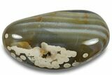 Colorful, Polished Agate Palm Stone - Madagascar #256368-1